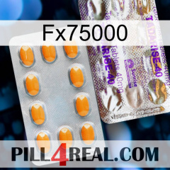 Fx75000 new12